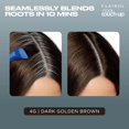 thumbnail image 4 of Tinte de pelo Clairol Root Touch-Up Permanent 4G Marrón Dorado Oscuro, 4 of 9