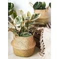 thumbnail image 6 of LE TAUCI Plant Basket, 7 Inch Original Woven Seagrass Belly Planter Basket, 6 of 9