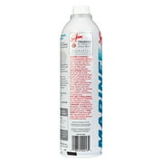 Sea Foam Marine Pro Fuel Treatment for Marine Engines, 20 oz