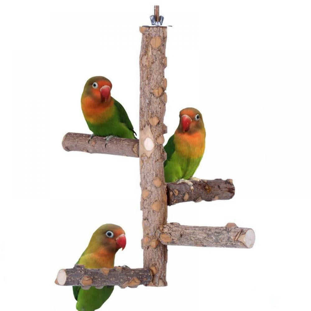 Natural Prickly Ash Wood Parrot Perch Stand Toys Cage Accessories for Birds 