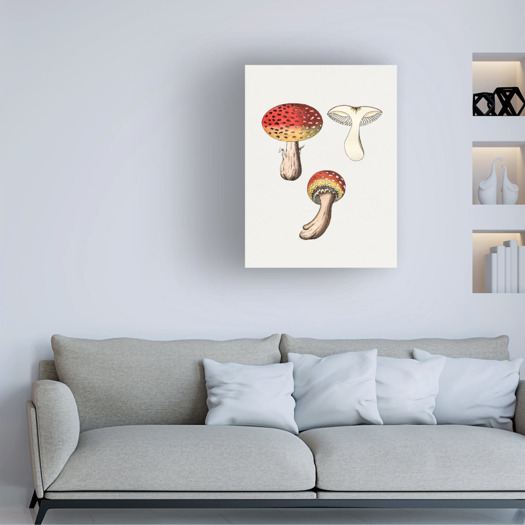 Trademark Fine Art Pictufy  Hand Drawn Fly Agaric Mushroom Canvas Wall Art