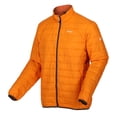 thumbnail image 2 of Regatta Mens Hillpack Quilted Insulated Jacket, 2 of 5