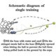 thumbnail image 4 of 3 pelotas de entrenamiento de tenis, pelota de entrenamiento de tenis y pelota de repuesto para entrenador de tenis., 4 of 4