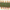Camo, variant on Berkley Gulp! Saltwater Sandworm Bait