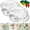 2, variant on Glass Shell Dumpling Tray with Sauce Plate Snack Dessert, Elegant Shell-Shaped Glass Serving Tray with Sauce Plate for Dumplings, Sushi, Fruit, Exquisitely Handcrafted,1
