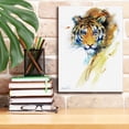 thumbnail image 6 of Epic Graffiti 'Tiger Strokes' by Robert Campbell, Canvas Wall Art, 12"x16", 6 of 8