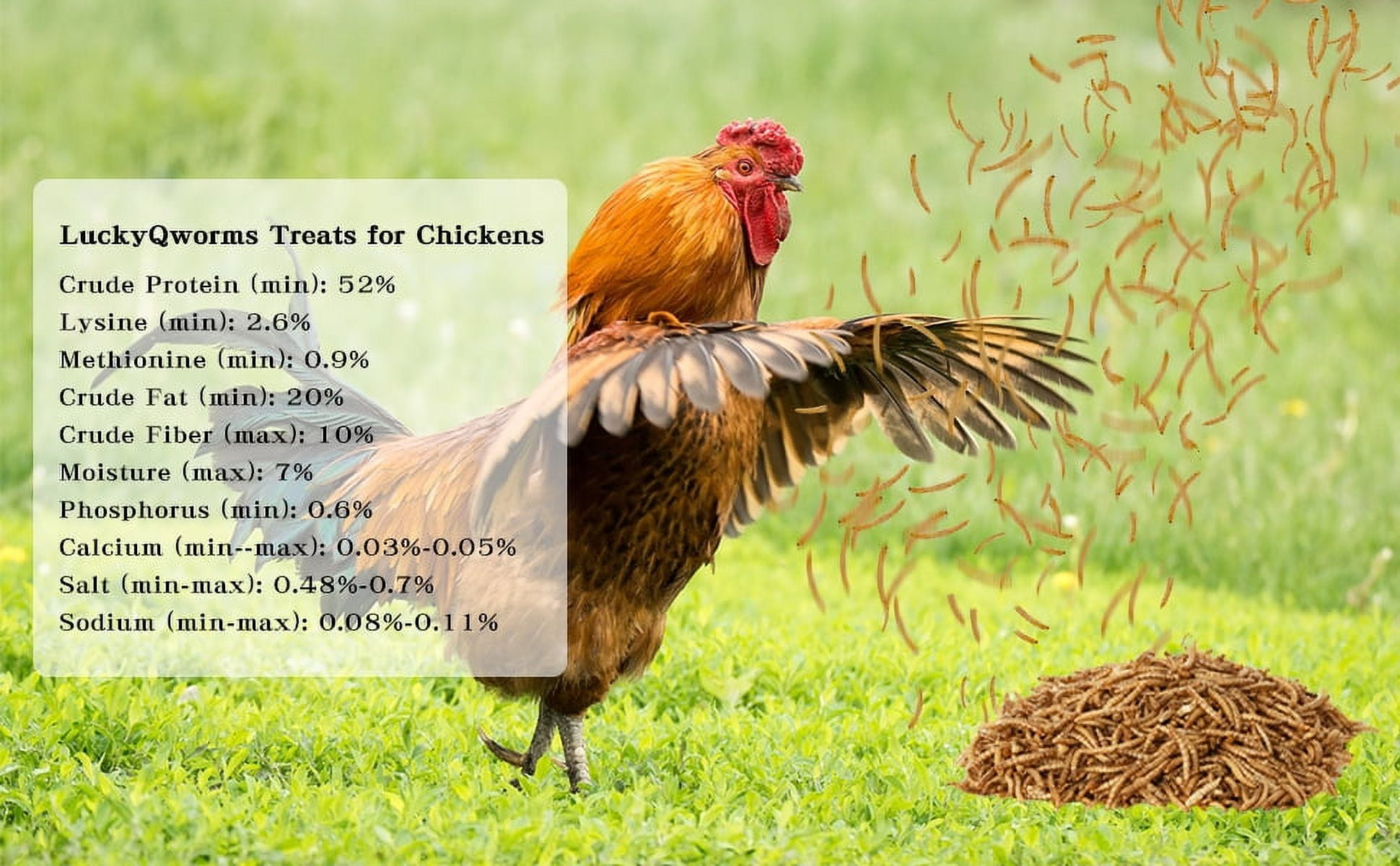 LuckyQworms Dried Mealworms 20 lbs – High Protein, Omega-3 Rich, Natural Feed for Birds, Chickens, Fish, Poultry, Reptiles, Rodents, Small Pets