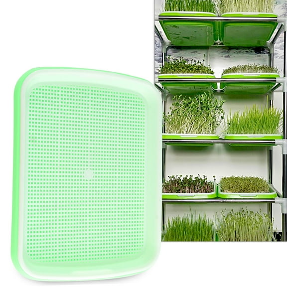 FOMIYES 1 Set Sprouter Tray Set For Soilless Sprout Tray And Microgreens Growing In Light Green 34.00X24.00X5.00In