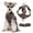 Coffee, variant on HHBEAUTY Summer Cat and Small Dog Chest Harness and Leash, Anti-Escape Adjustable Soft Mesh Cat Leash and Chest Harness Set for All Types of Cats Cat Vests, Hot Pink