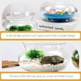 thumbnail image 2 of MasteelfCA 2 Pcs Bol à Poisson Transparent Bol à Poisson Rouge en Verre Bol à Poisson Simple Bol de Plante Hydroponique, 2 of 8