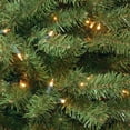 thumbnail image 4 of National Tree Company Pre-Lit Artificial Giant Slim Christmas Tree, Green, North Valley Spruce, White Lights, Includes Stand, 14 Feet, 4 of 4
