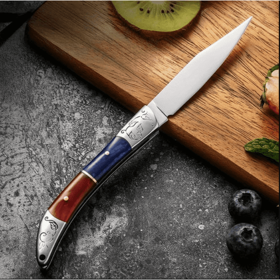 Plys Folding Pocket Knife, 2.8 inch High Carbon Stainless Steel Blade, Fruit Paring Peeling Knives EDC for Camping Hiking Outdoor Sports