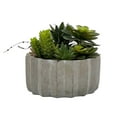thumbnail image 4 of Faux Succulent In Cement Pot 7" Diameter, 4 of 4