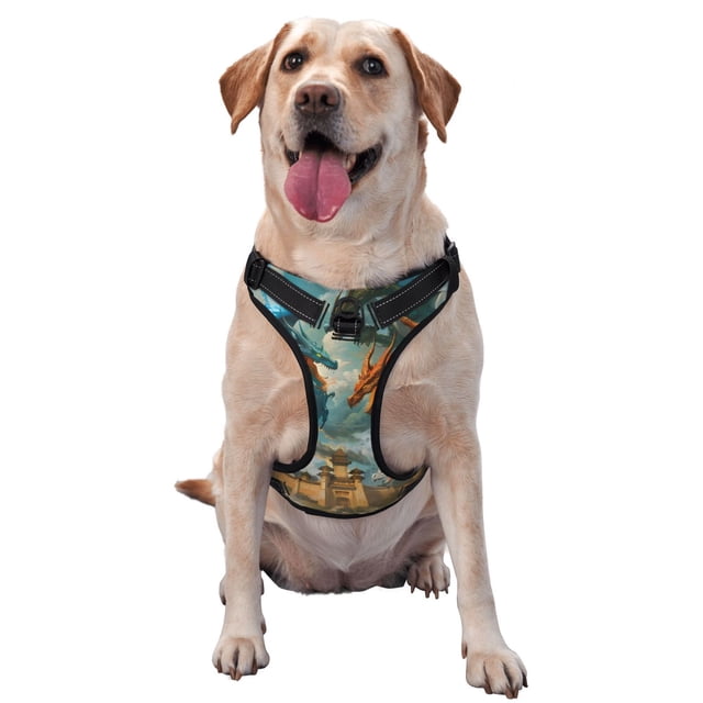 Balery Red Blue Dragon Battle Epic Arnés para Perros Grandes Antitirones, Arnés con Correa para Gato, Arnés Tipo Chaleco para Perros Pequeños-Medium