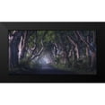 thumbnail image 2 of Gastager, Daniel 18x11 Black Modern Framed Museum Art Print Titled - The Dark Hedges, 2 of 5