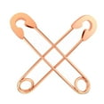 thumbnail image 1 of Pendientes de seguridad Fernando acero Inoxidable oro Y rosa, 1 of 6