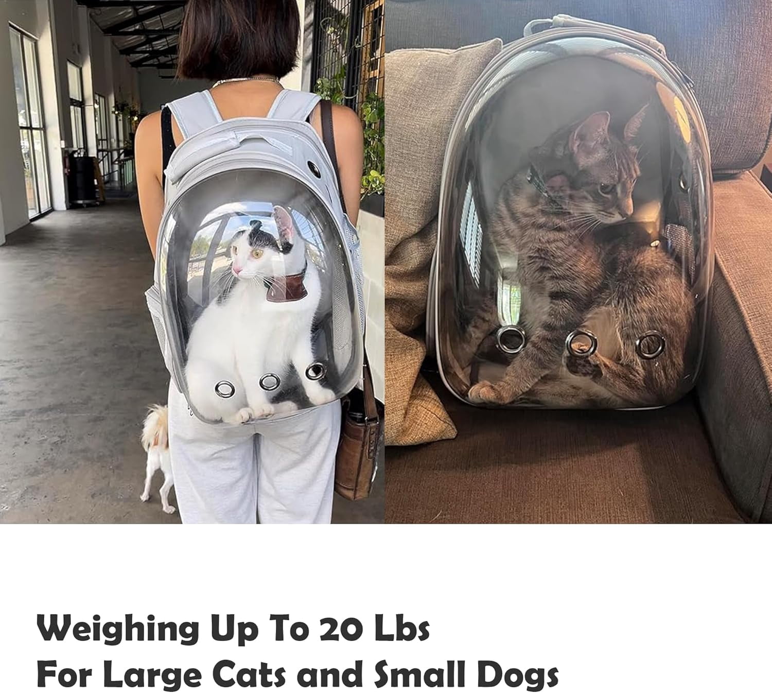 Cat Carrier Backpack, Pet Carrier Backpack for Small Medium Cat Puppy Dog Carrier Backpack Bag Space Capsule, Cat Travel Backpack for Outdoors Travel Hiking Walking Camping (Gray)