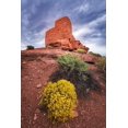 thumbnail image 2 of Bishop, Russ 13x18 Gold Ornate Wood Framed with Double Matting Museum Art Print Titled - Evening light on Wukoki Ruin-Wupatki National Monument-Arizona, 2 of 4