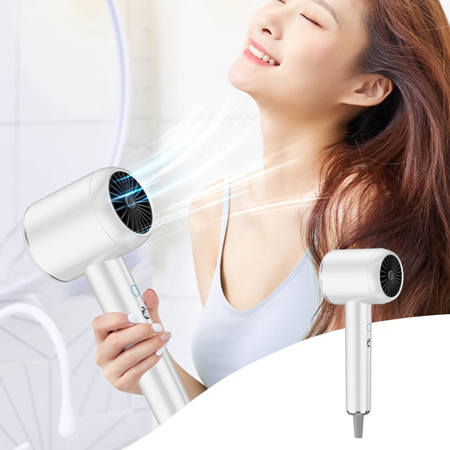 Vrorvz Ionic Hair Dryer Powerful and Portable 2000W for Women Curly Hair Blow Dryer with Concentrator and Constant Temperature for Fast Drying and Frizz Reduction