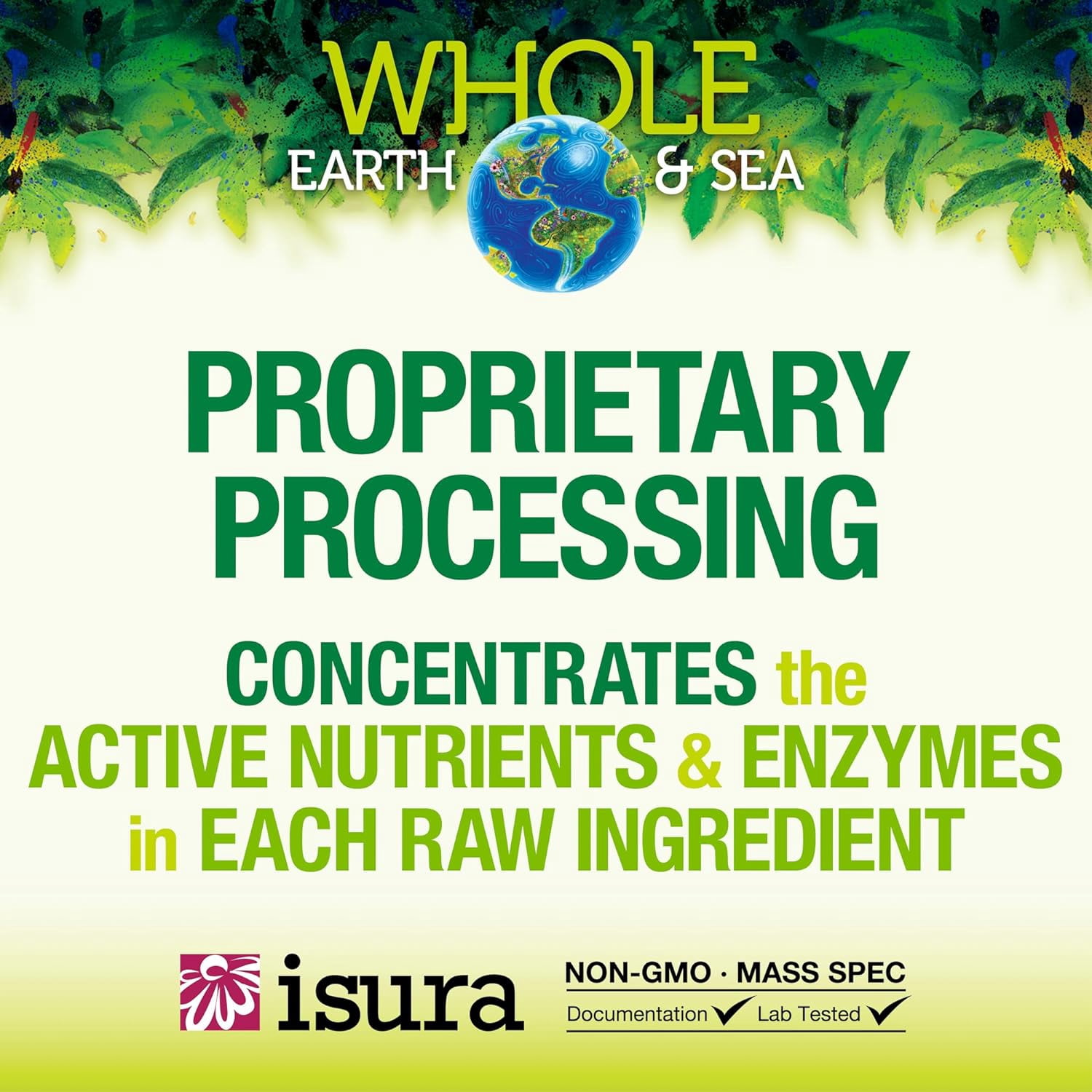 Natural Factors Whole Earth & Sea, Organic Fermented Greens, Vegan Whole Food Supplement, Unflavored, 6.9 Oz
