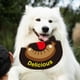 thumbnail image 1 of Pañuelo para perro Yinane ajustable dibujos animados lavable XL, 1 of 8
