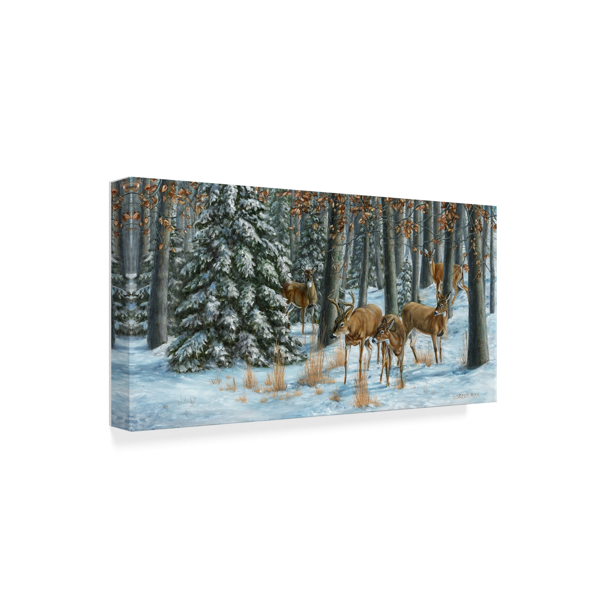 Trademark Fine Art 'Winter Gathering' Canvas Art by Carolyn Mock