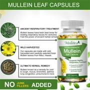 كبسولات Mulittea Natural Mullein Leaf المكمل العشبي لتطهير الرئة ، يدعم وظيفة الجهاز التنفسي الصحي ، 120 كبسولة