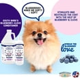 thumbnail image 2 of Acondicionador para mascotas South Bark's Blueberry-Clove 355 ml para perros, 2 of 5