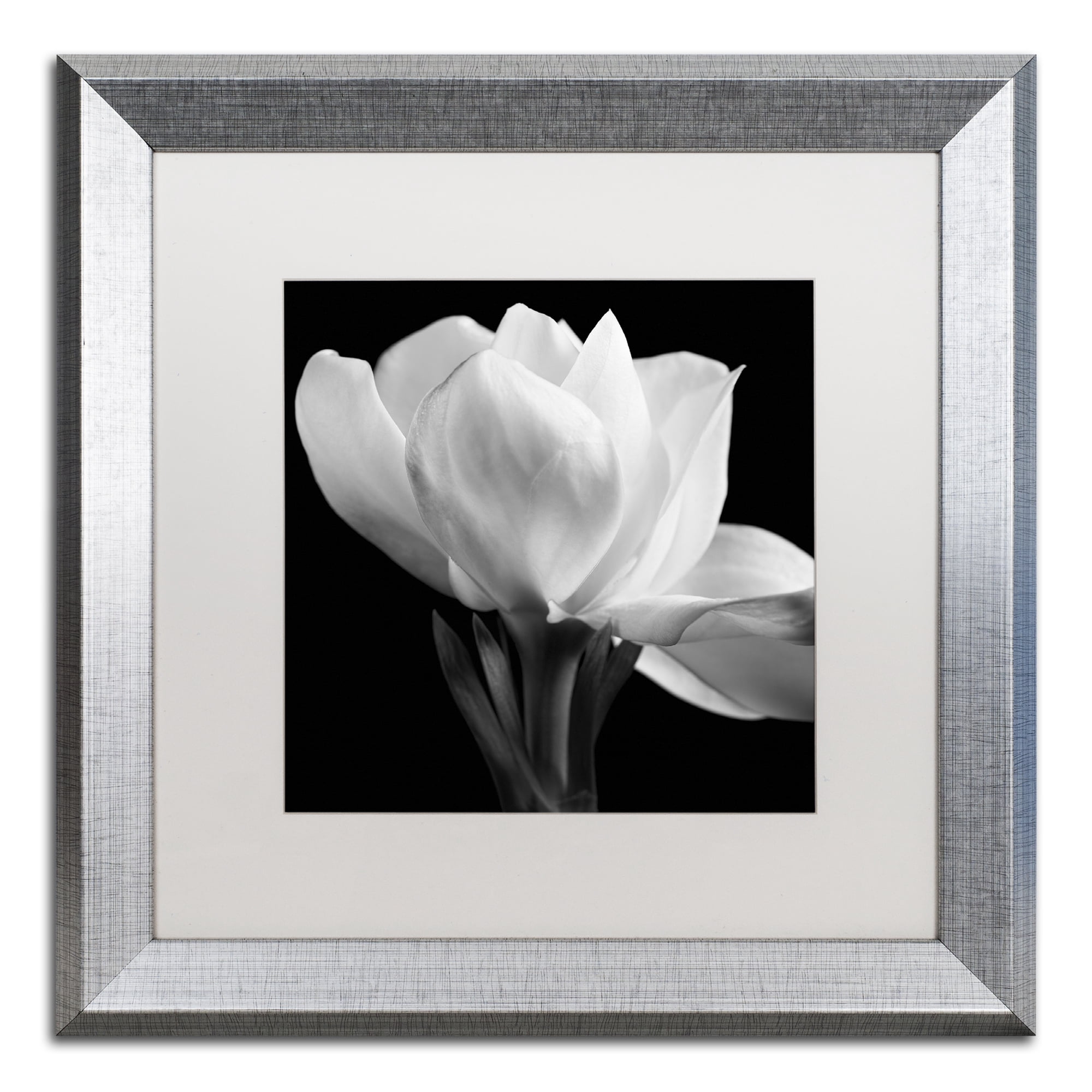 Michael Harrison 'Gardenia' Matted Framed Art