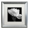 thumbnail image 2 of Michael Harrison 'Gardenia' Matted Framed Art, 2 of 3