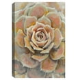 thumbnail image 4 of Masterpiece Art Gallery Desert Bloom Orange Succulent by Studio Arts Canvas Art Print 24" x 36", 4 of 4