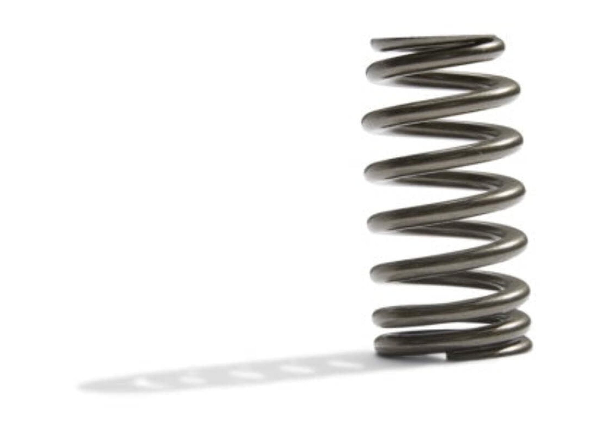 Ford Performance Parts M-6513-M50BR Valve Spring Kit Fits 11-14 Mustang