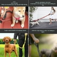 thumbnail image 2 of Labymos 4in-1 Multifunctional Dog Leash Hands Free Dog Leash, Dog Training Leads, Explosion-proof Traction Rope, 2 of 7