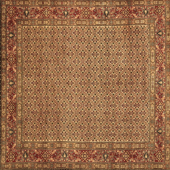 Ahgly Company Indoor Square Abstract Brown Contemporary Area Rugs, 3' Square