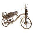 thumbnail image 1 of Soporte Para Botellas De Vino Para Bicicletas Champagne Wine Rack Para La Cena De La Fiesta De Bodas De Nad Decoración Soledad Vintage Metal Red Wine Rack, 1 of 10