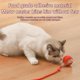 thumbnail image 5 of Juguete interactivo con forma de pelota para gatos, pelotas rodantes Super Drive para gatos con movimiento de canto de pájaros, juguetes para gatos con sensor para mascotas y gatitos, 5 of 7