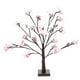 thumbnail image 1 of Hongzer Escritorio de luz LED Cherry Blossom Tree, lámpara de Forma Interior de 24 Piezas LED Cherry Tree, lámpara de Escritorio Led Tree, luz de decoración para Fiestas en el hogar LYUMO Hongzer Escritorio de luz LED Cherry Blossom Tree, 1 of 6
