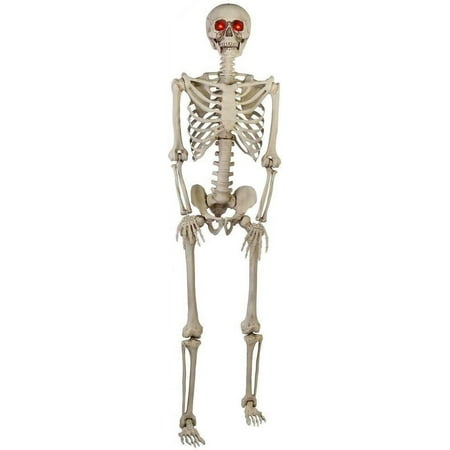 Home Accents HolidayGanmm 5 ft. Poseable Skeleton with LED Illumination