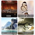 thumbnail image 2 of FitBest 1 Set of Portable, Compact, High-definition Monocular Telescope with Mobile Phone Photo Clip, 2 of 10