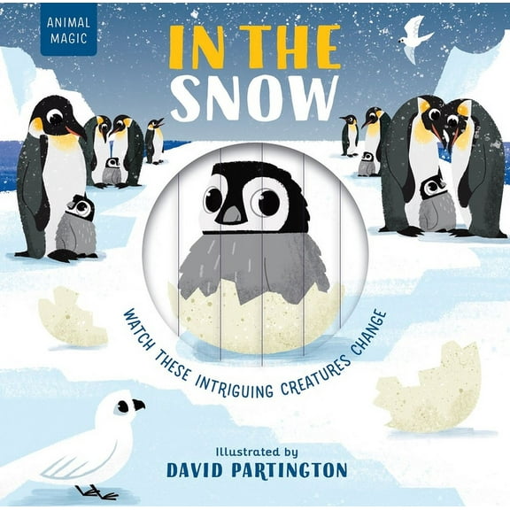 Animal Magic In the Snow, (Board Book)