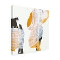 thumbnail image 2 of Chris Paschke 'Resistance II' Canvas Art, 2 of 4