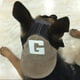 thumbnail image 4 of onlyliua Liquidación Gorro para Perro, Ajustable, con Orificio para La Oreja, Correa para La Barbilla, Gorro para Disfraz de Cachorro, para Perros y Gatos, 4 of 5