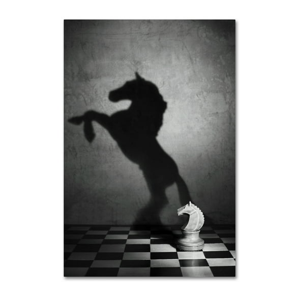 Trademark Fine Art 'The Soul Of A Mustang' Canvas Art by Victoria Ivanova