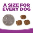 thumbnail image 5 of NutriSource Large Breed Puppy Chicken and Rice Dry Dog Food 12 lb, 5 of 6