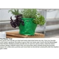 thumbnail image 5 of BloemBagz Mini Herb Hanging Planter Grow Bag 1.5 Gallon Tequila Sunrise, 5 of 8
