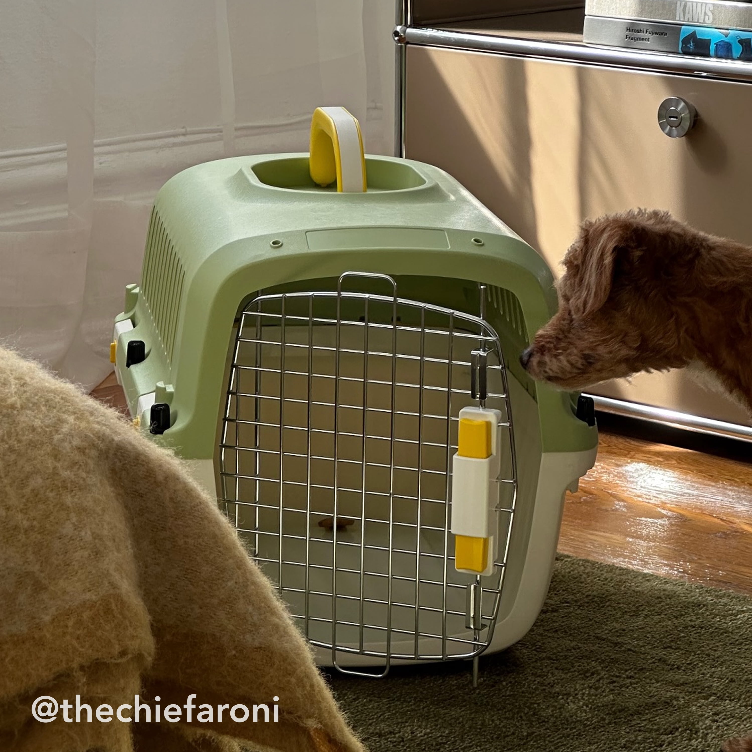Oodles 20" Plastic Travel Pet Kennel with Clip On Bowl, Green