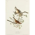 thumbnail image 2 of Audubon, John James 14x18 Gold Ornate Wood Framed with Double Matting Museum Art Print Titled - Song Sparrow, 2 of 4