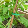 thumbnail image 4 of ORDDIART 18pcs Tree Limb Ties Green Plastic Garden Straps for Support Flexible Design for Vine Management, 4 of 5