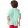 thumbnail image 3 of Hanes Kids' Garment Dyed Cotton T-Shirt Honeydew XS, 3 of 4