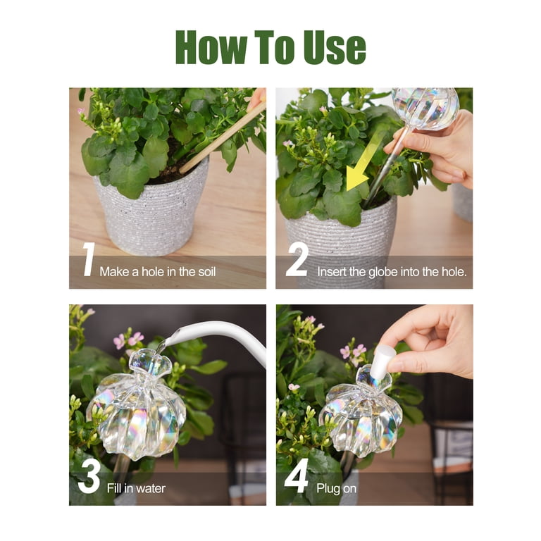 NiHome Glass Cactus Self-Watering Globes, 2-Pack photo 5